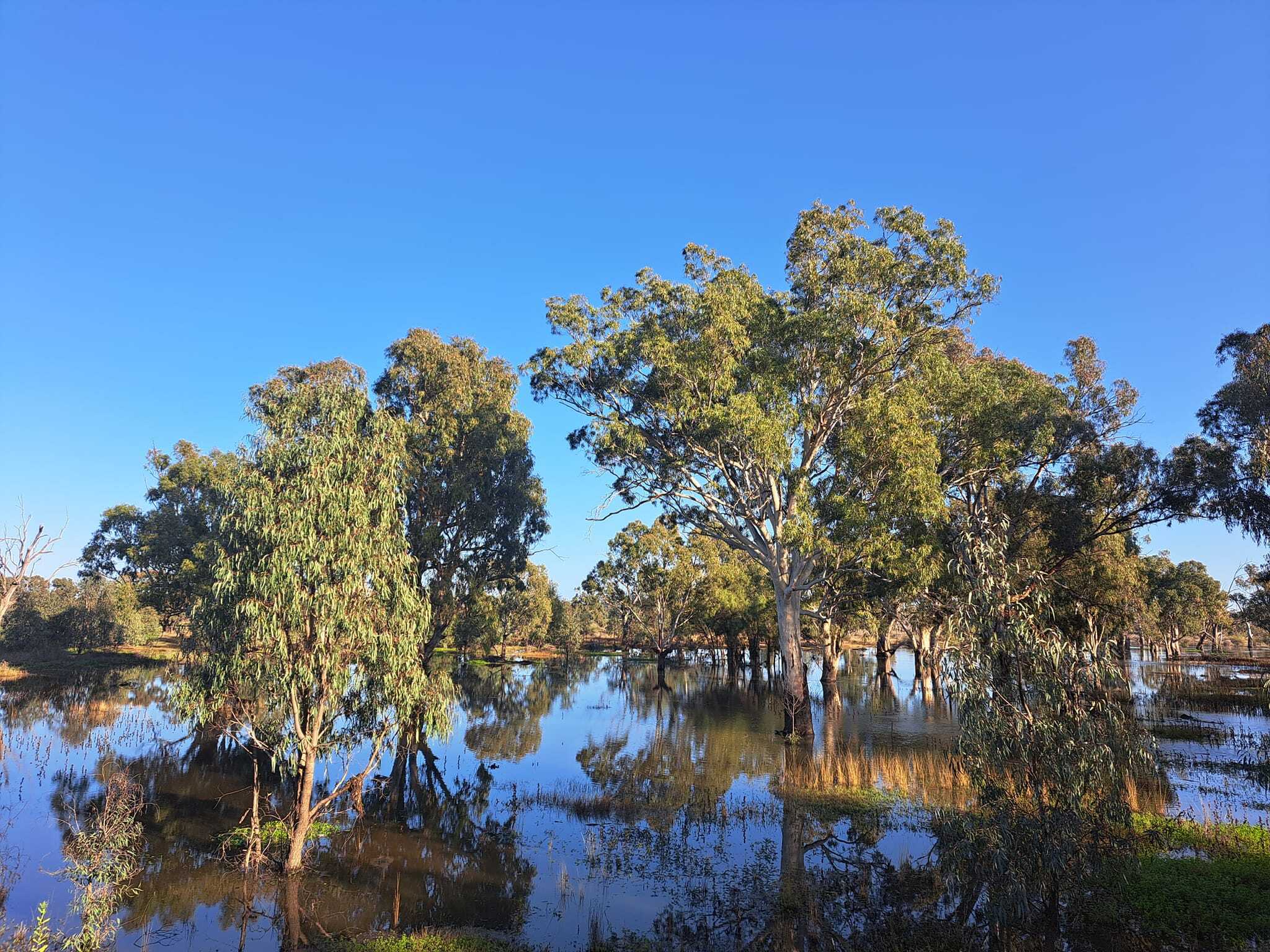 371298953_10167791292925114_1768238203156593038_n